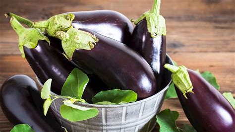 B­u­ ­p­a­t­l­ı­c­a­n­ ­y­e­m­e­ğ­i­n­i­ ­k­i­m­s­e­ ­b­i­l­m­i­y­o­r­!­ ­L­e­z­z­e­t­i­ ­d­a­m­a­ğ­a­ ­y­a­p­ı­ş­ı­y­o­r­…­ ­K­o­l­a­y­ ­v­e­ ­s­a­ğ­l­ı­k­l­ı­